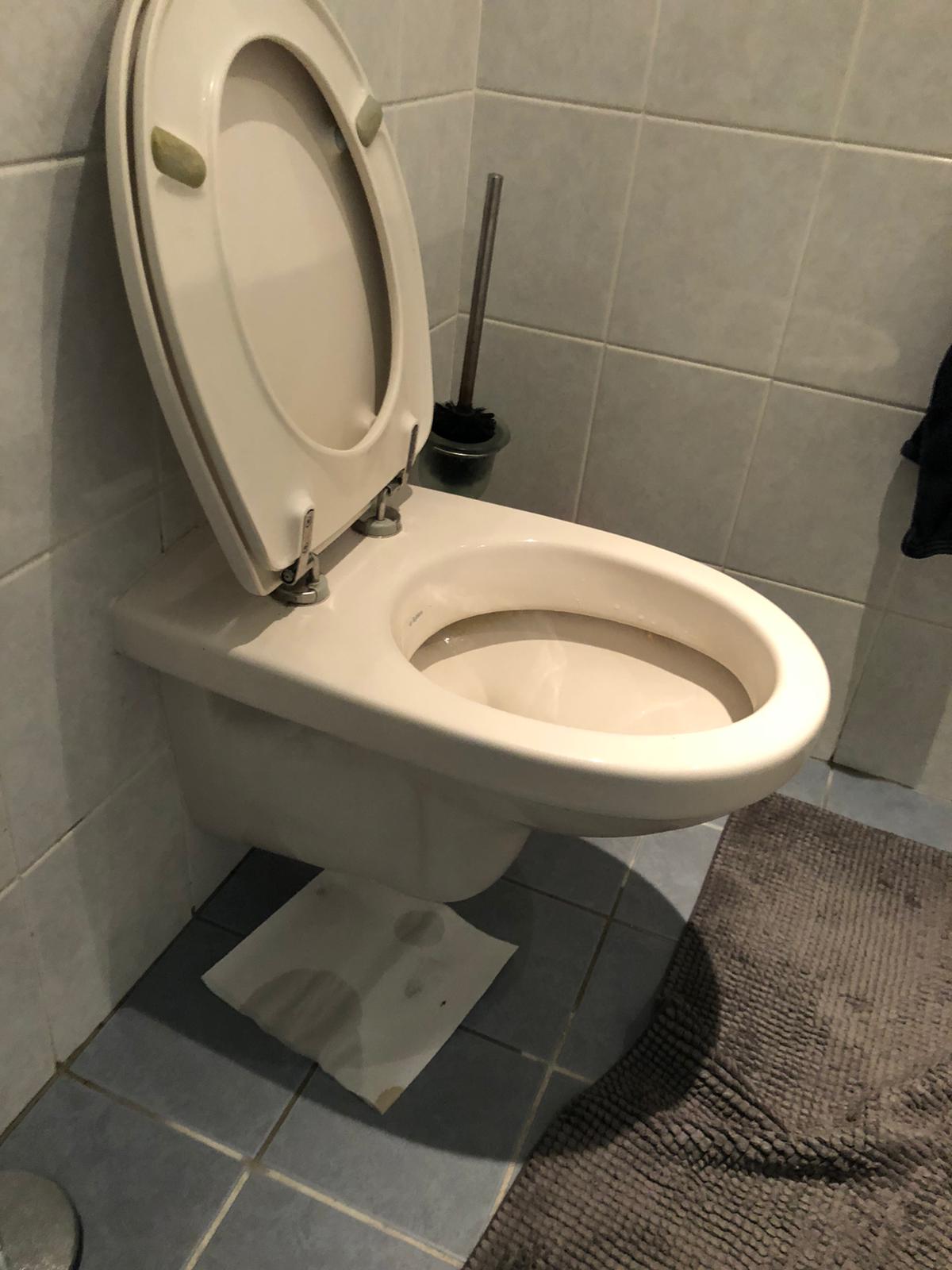 hangtoilet Bergschenhoek